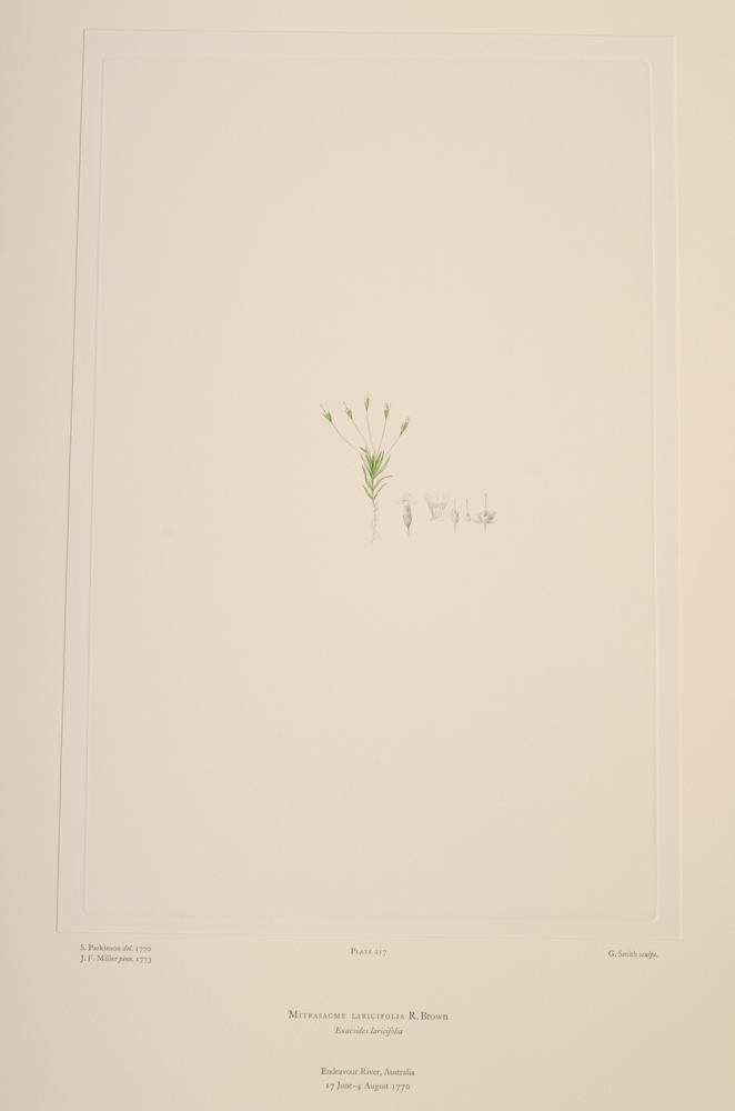 Banks' Florilegium Limited Edition "Part X: Australia Plates 203-225" Engravings