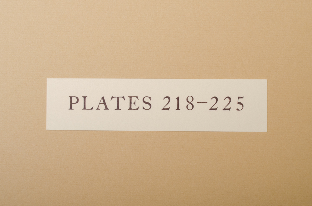 Banks' Florilegium Limited Edition "Part X: Australia Plates 203-225" Engravings