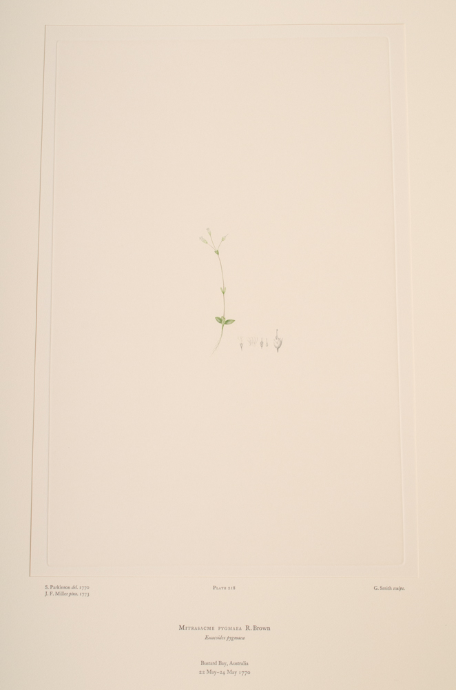 Banks' Florilegium Limited Edition "Part X: Australia Plates 203-225" Engravings