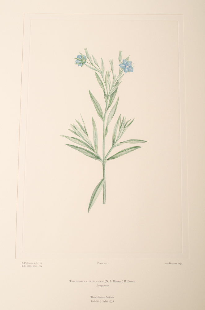 Banks' Florilegium Limited Edition "Part X: Australia Plates 203-225" Engravings