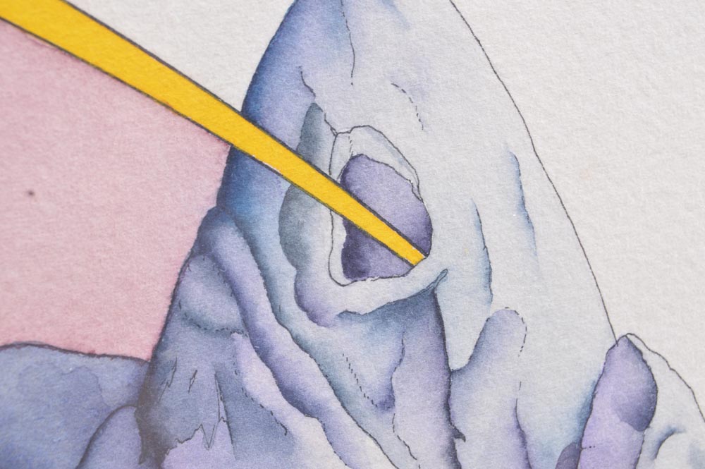 Gunars Strazdins Signed Original Ink and Watercolor Titled "Just Plain Dumb"