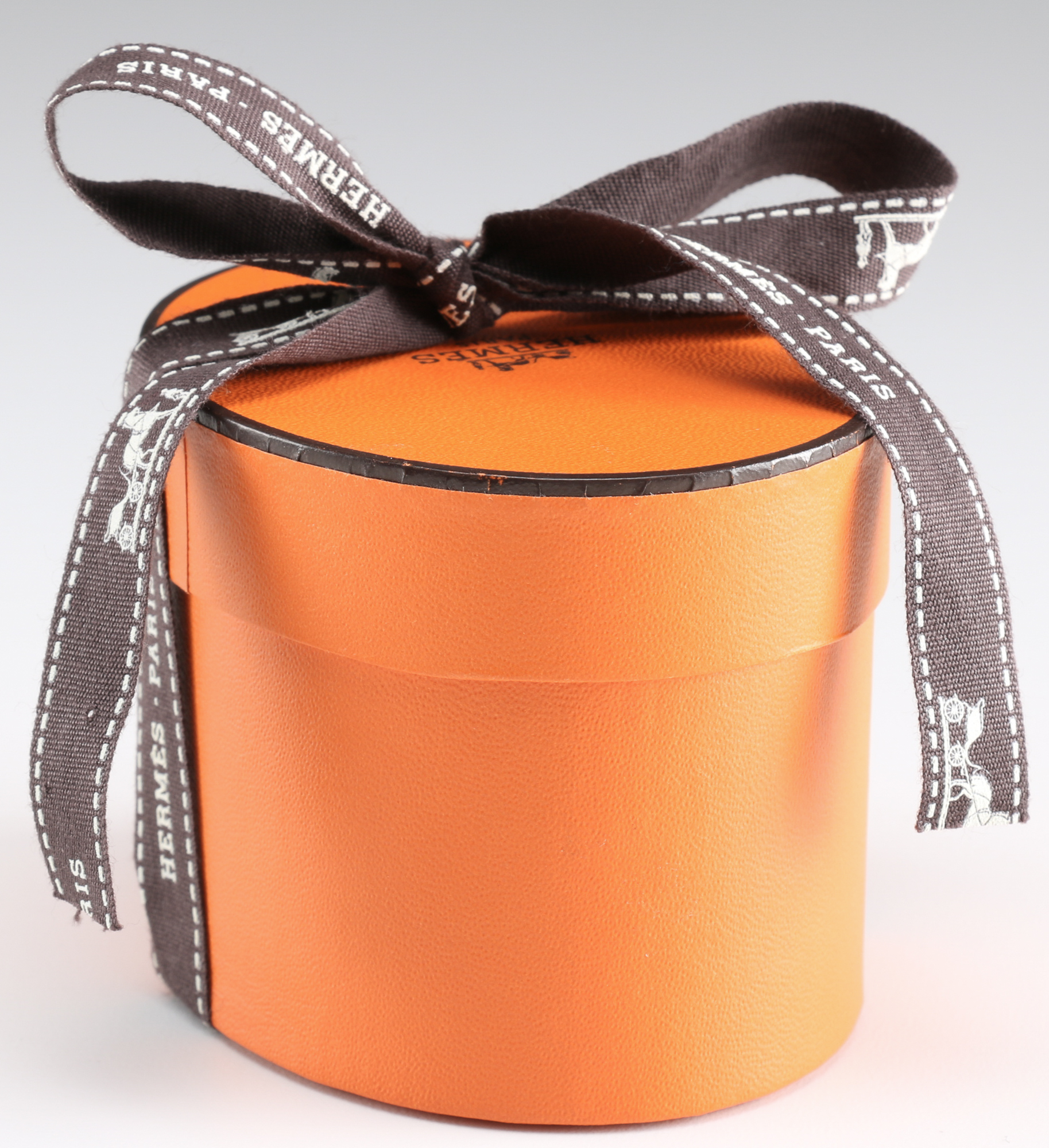 Hermès Twilly Scarf with Palladium Silver Tone Scarf rings.