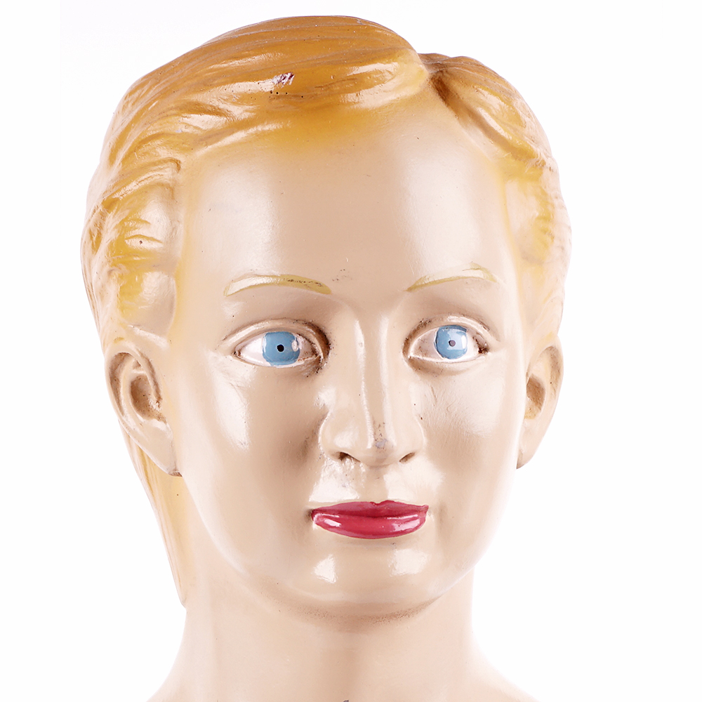 Vintage Male Torso Anatomical Model