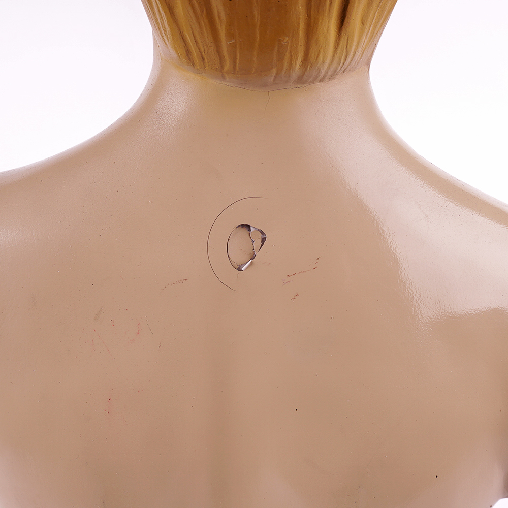 Vintage Male Torso Anatomical Model