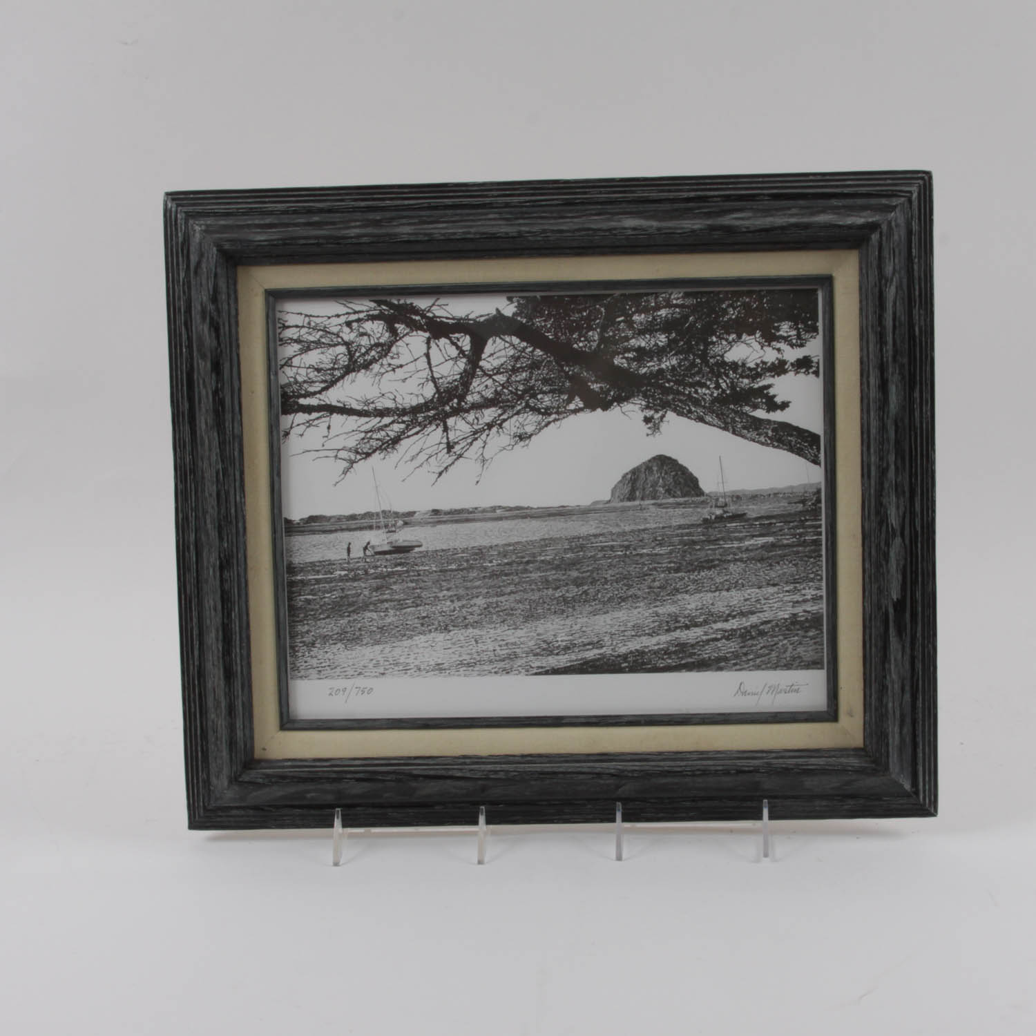 Limited Edition Lithograph by Daniel Martin