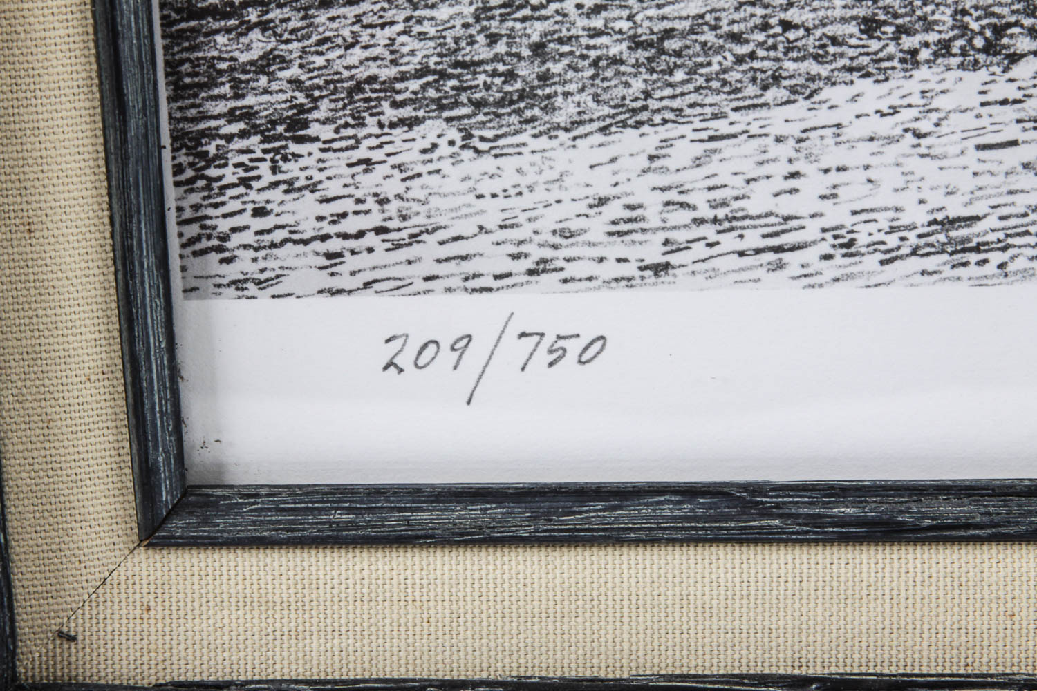 Limited Edition Lithograph by Daniel Martin