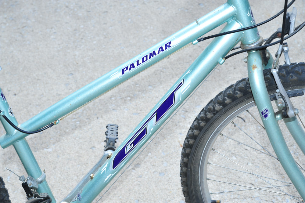 Palomar GT 18-Speed Bicycle