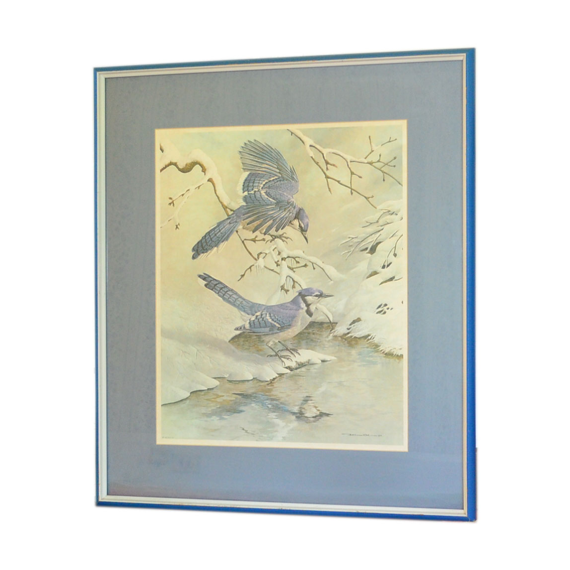 Framed Basil Ede Lithograph "Blue Jays in Winter"