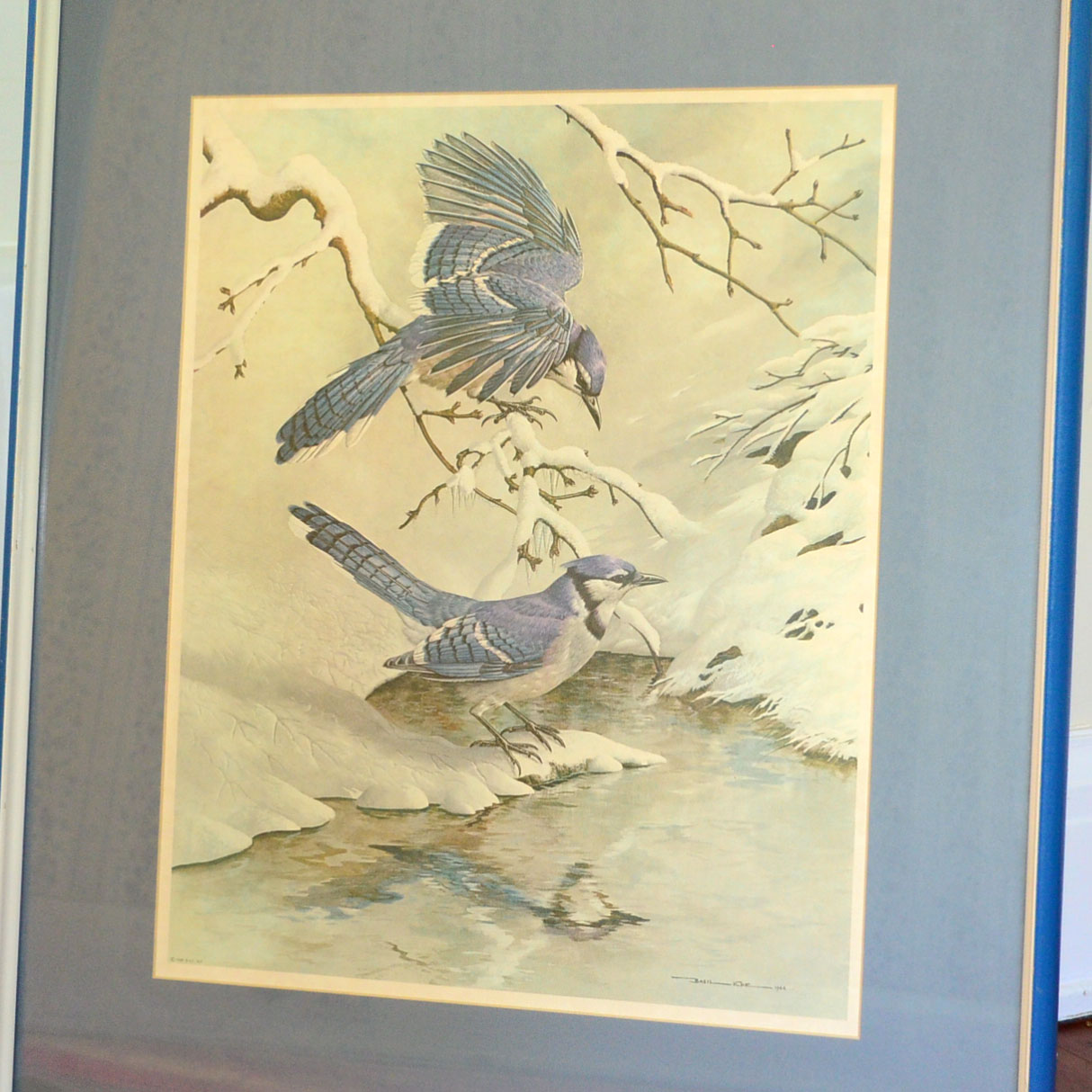 Framed Basil Ede Lithograph "Blue Jays in Winter"