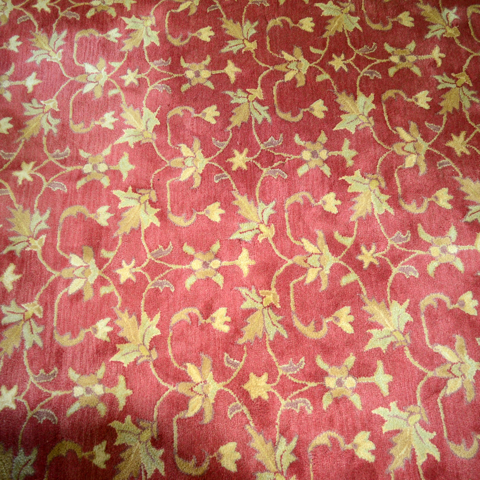 Traditional Power Loomed Area Rug