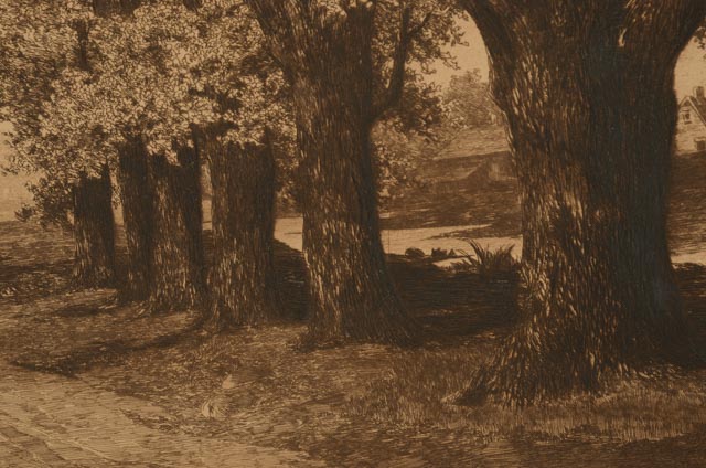 Ernest C. Rost Antique Drypoint Etching "The Old Elm Road"