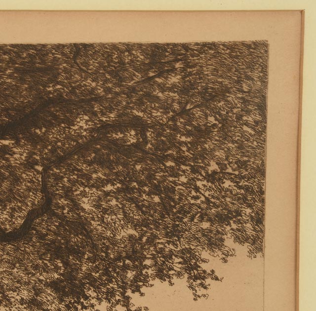 Ernest C. Rost Antique Drypoint Etching "The Old Elm Road"