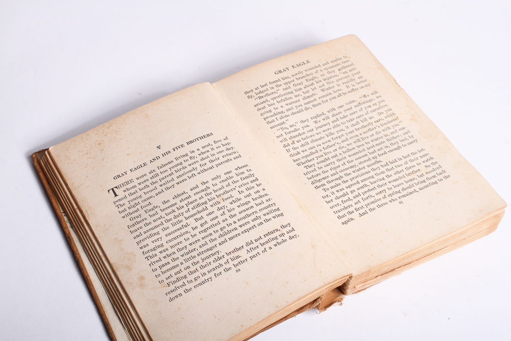 Collection of Vintage Children's Books and Puzzles