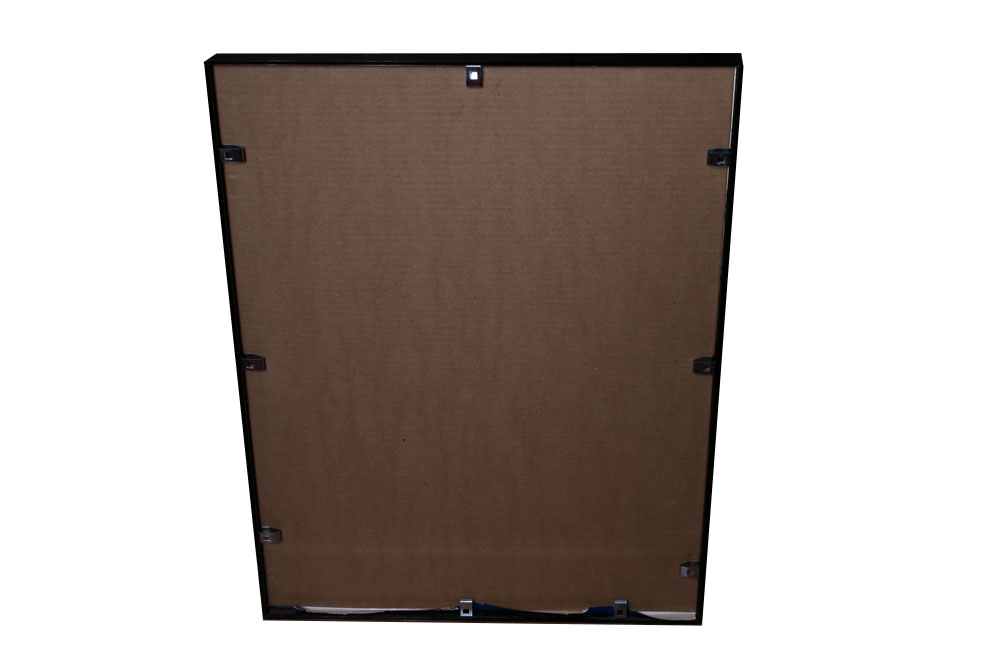 Vintage Democratic Political Posters