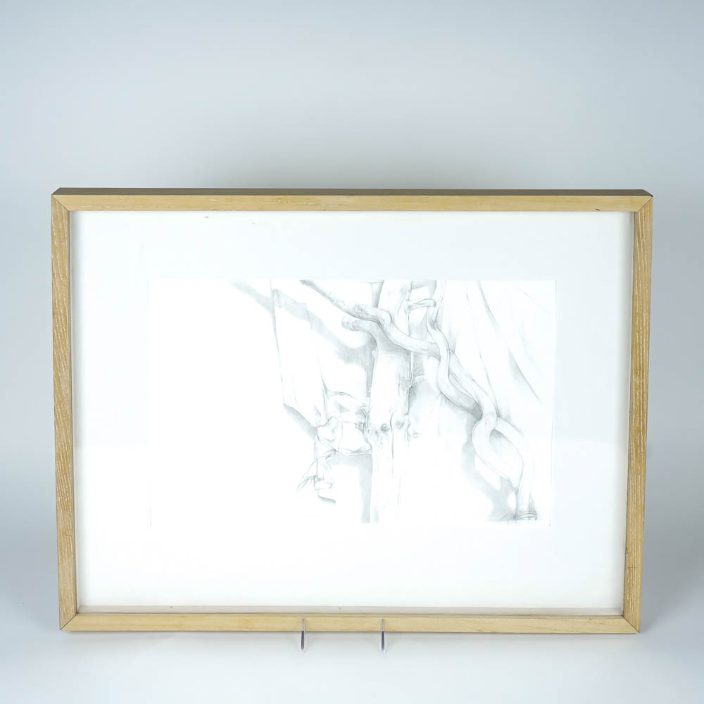 James Grubola Framed Original Drawing "Lignum Vitae Series: Conjuction"