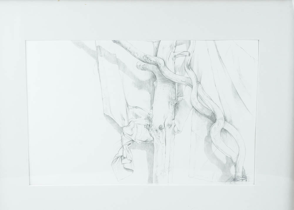 James Grubola Framed Original Drawing "Lignum Vitae Series: Conjuction"