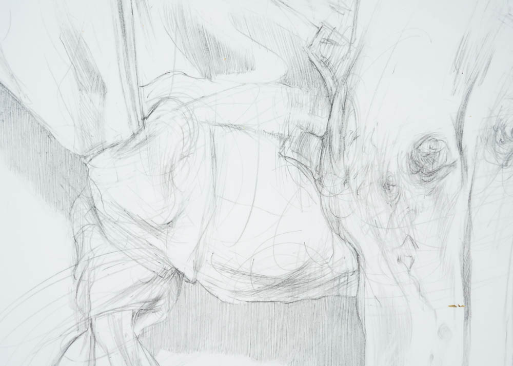 James Grubola Framed Original Drawing "Lignum Vitae Series: Conjuction"