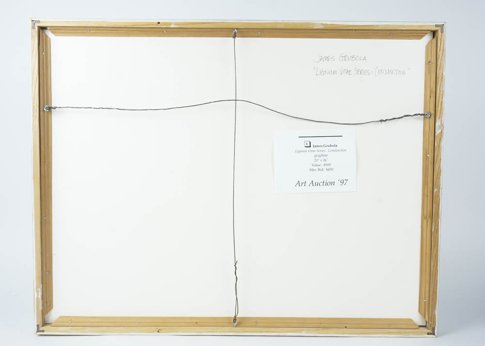 James Grubola Framed Original Drawing "Lignum Vitae Series: Conjuction"