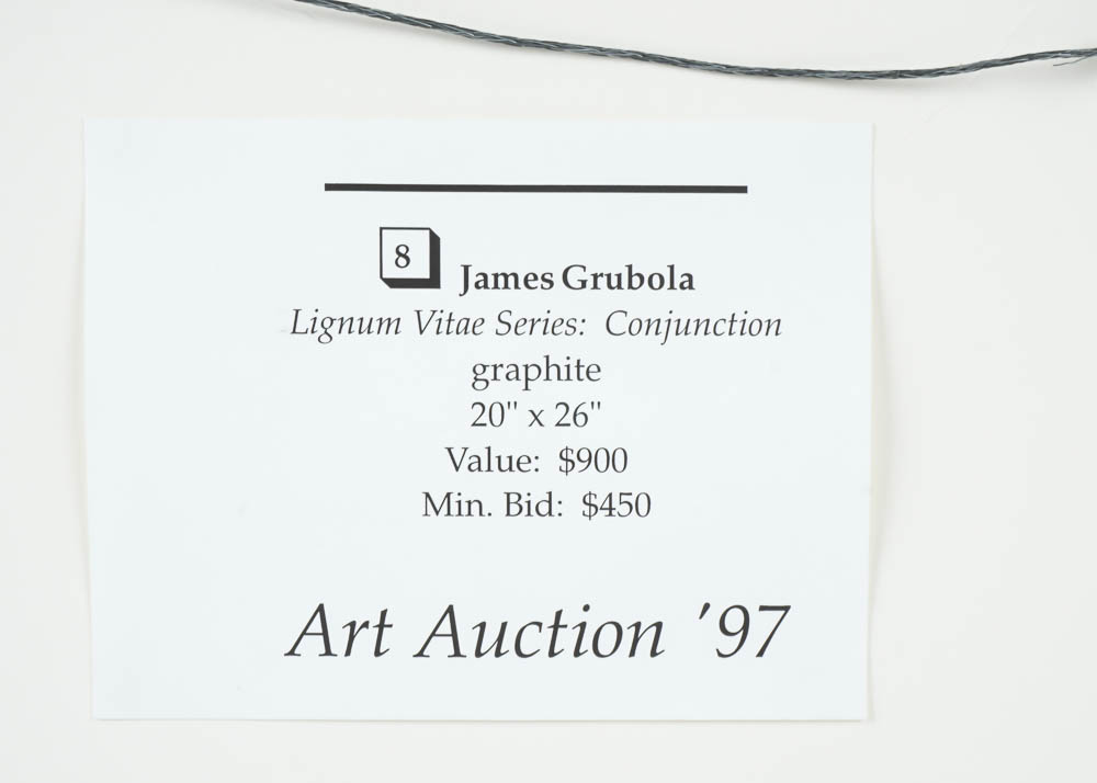 James Grubola Framed Original Drawing "Lignum Vitae Series: Conjuction"