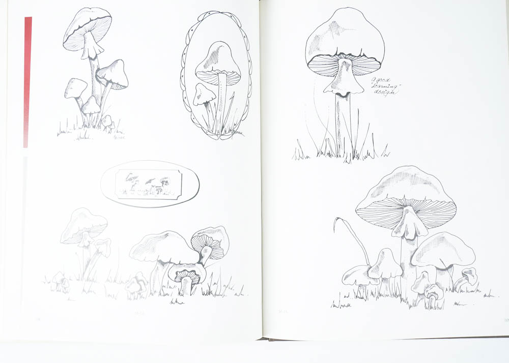 Toleware Platters and Book