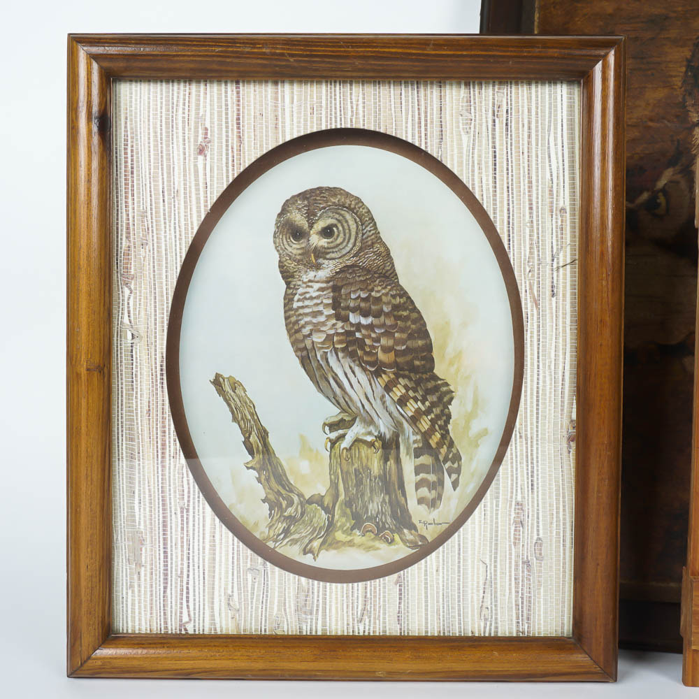 Owl Decor