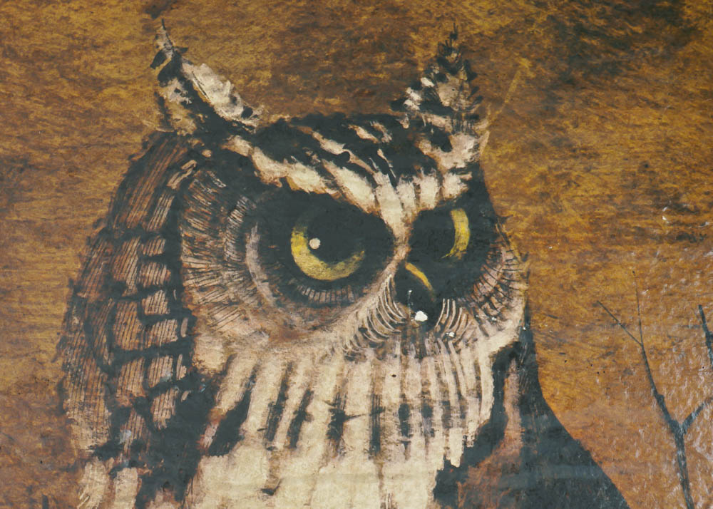 Owl Decor
