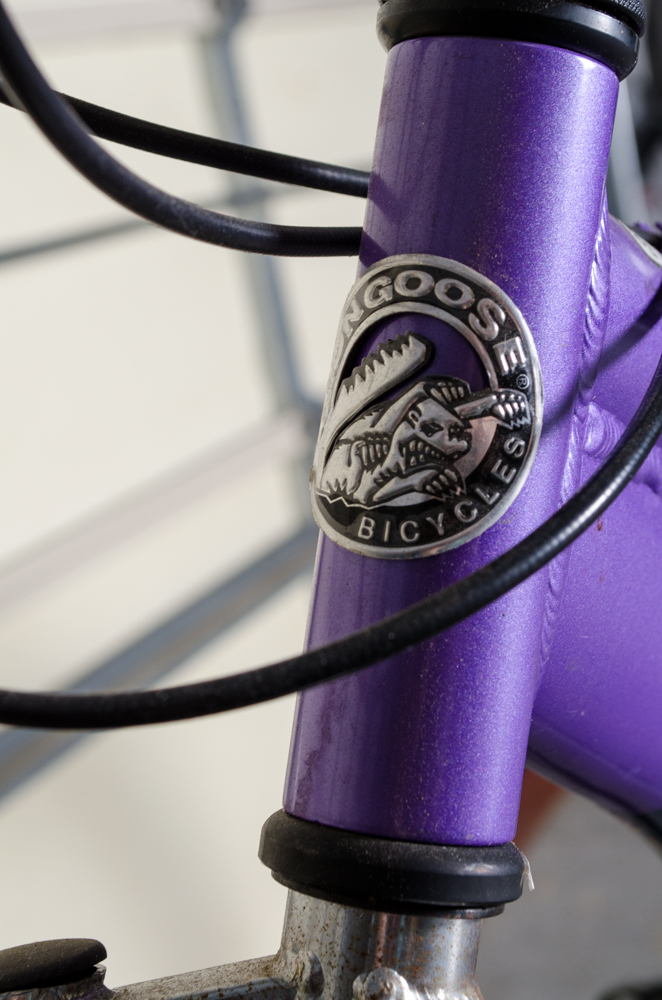 Women's Mongoose Estes Bicycle