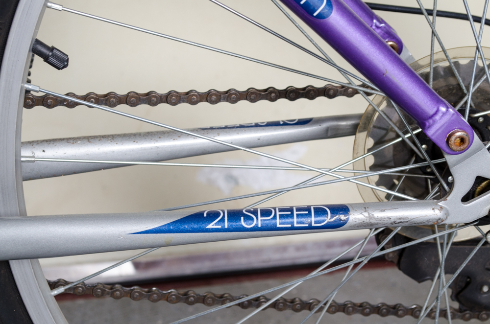 Women's Mongoose Estes Bicycle