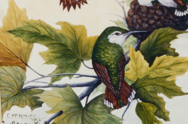 Signed and Framed Giclee Print by Carol McKinley