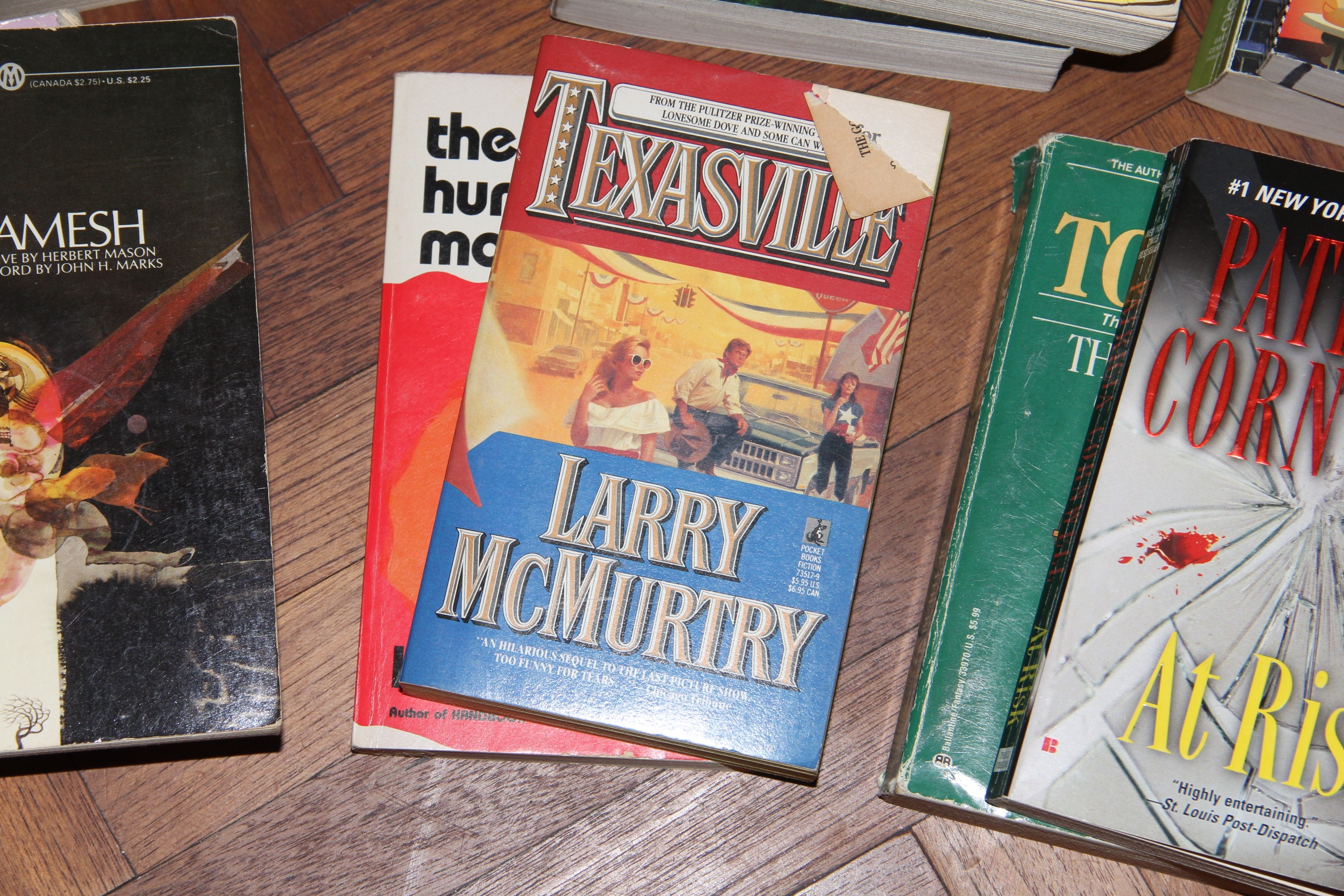 Collection of Paperback Novels