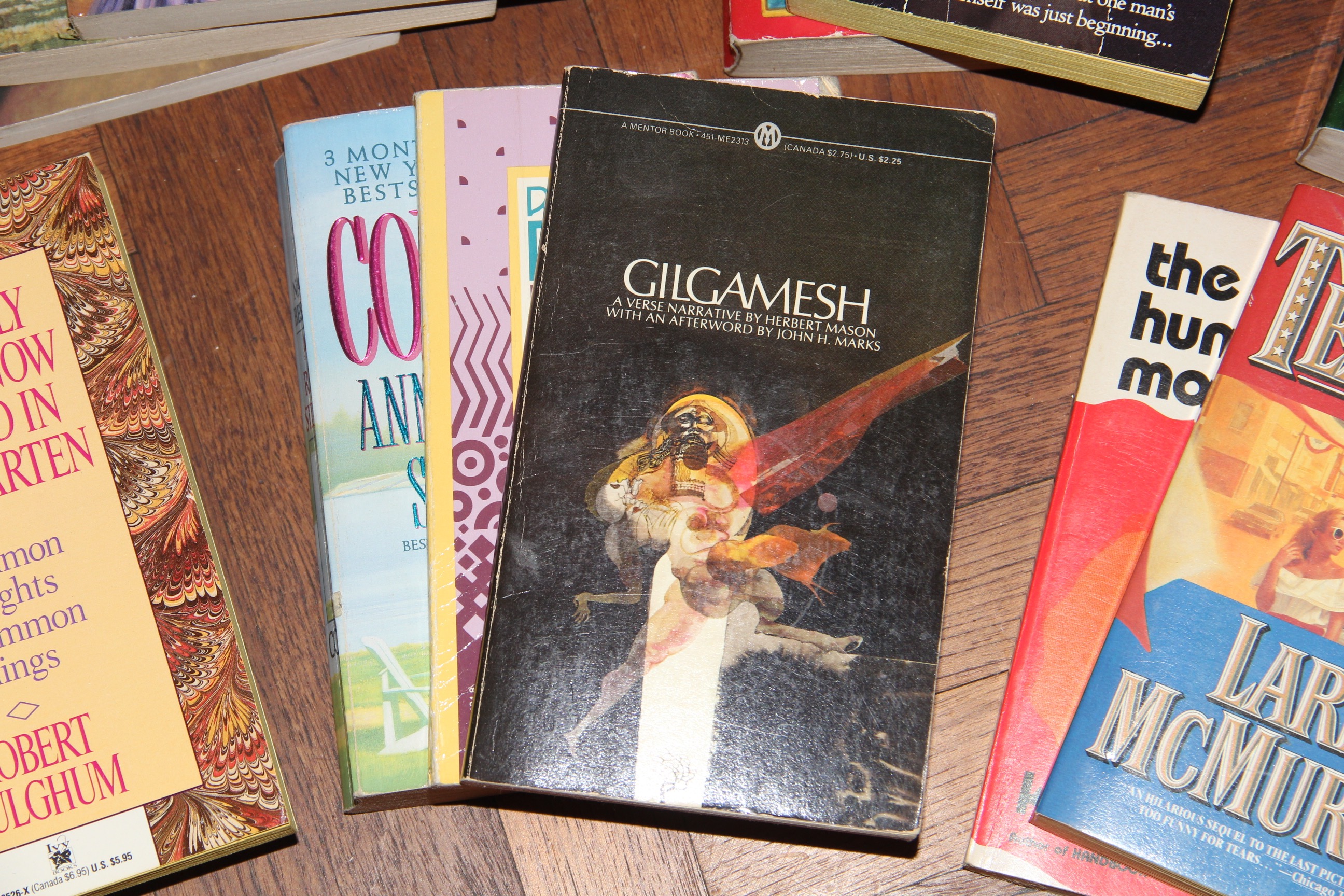 Collection of Paperback Novels