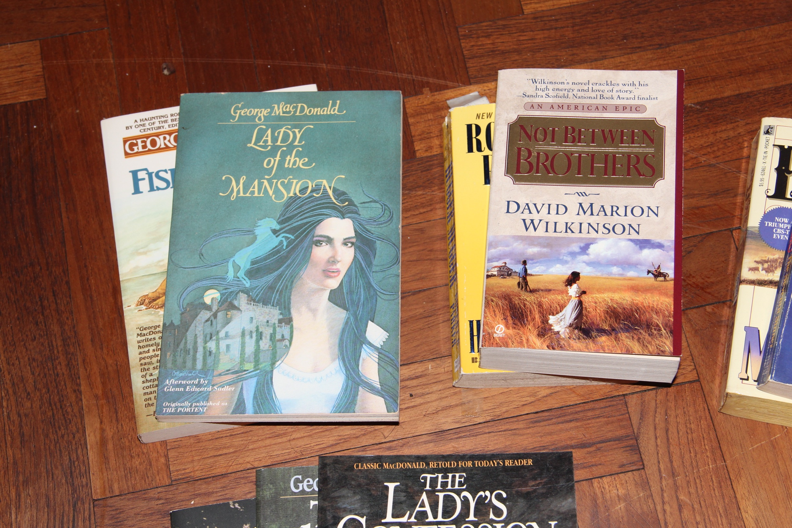 Collection of Paperback Novels