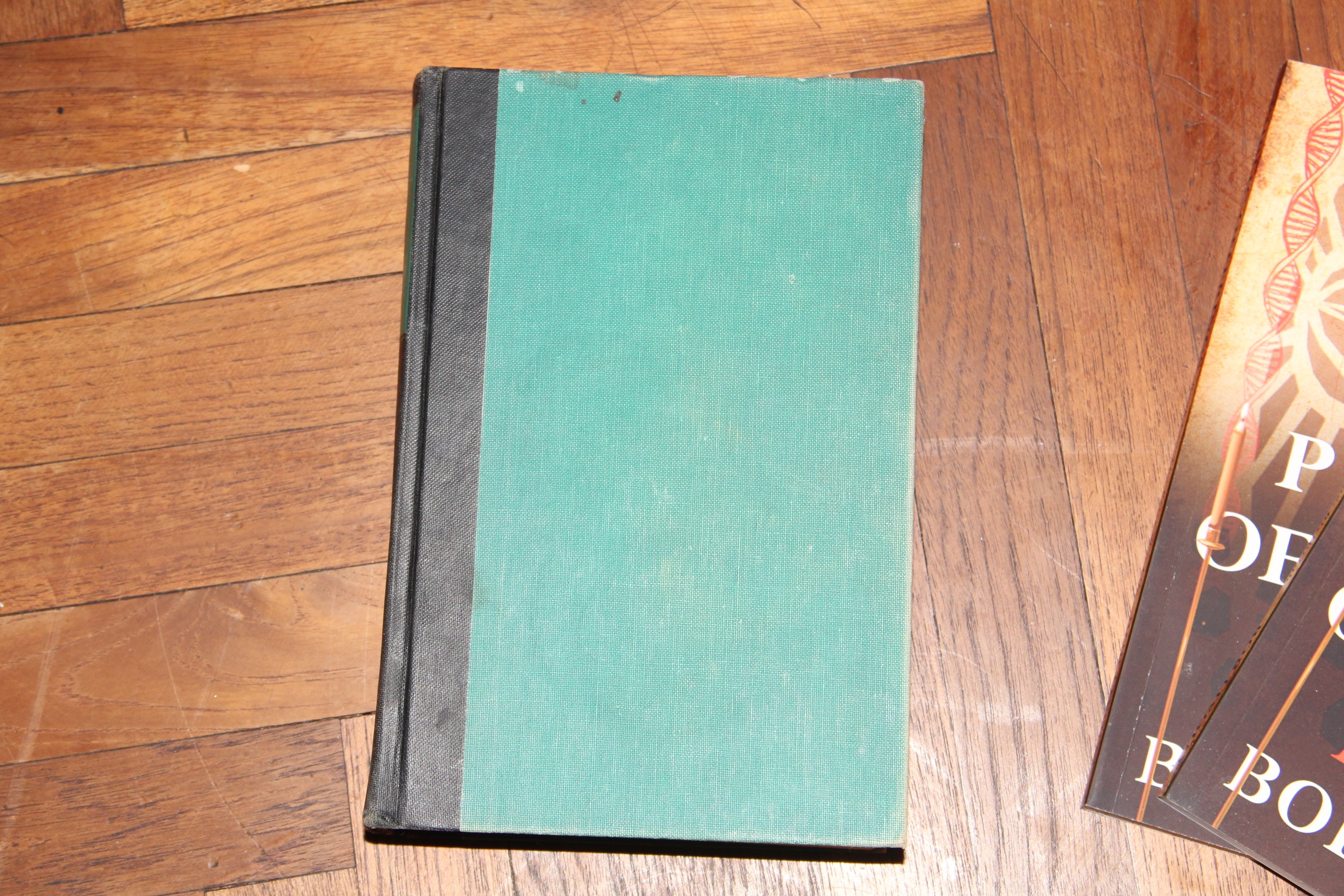 Collection of Paperback Novels