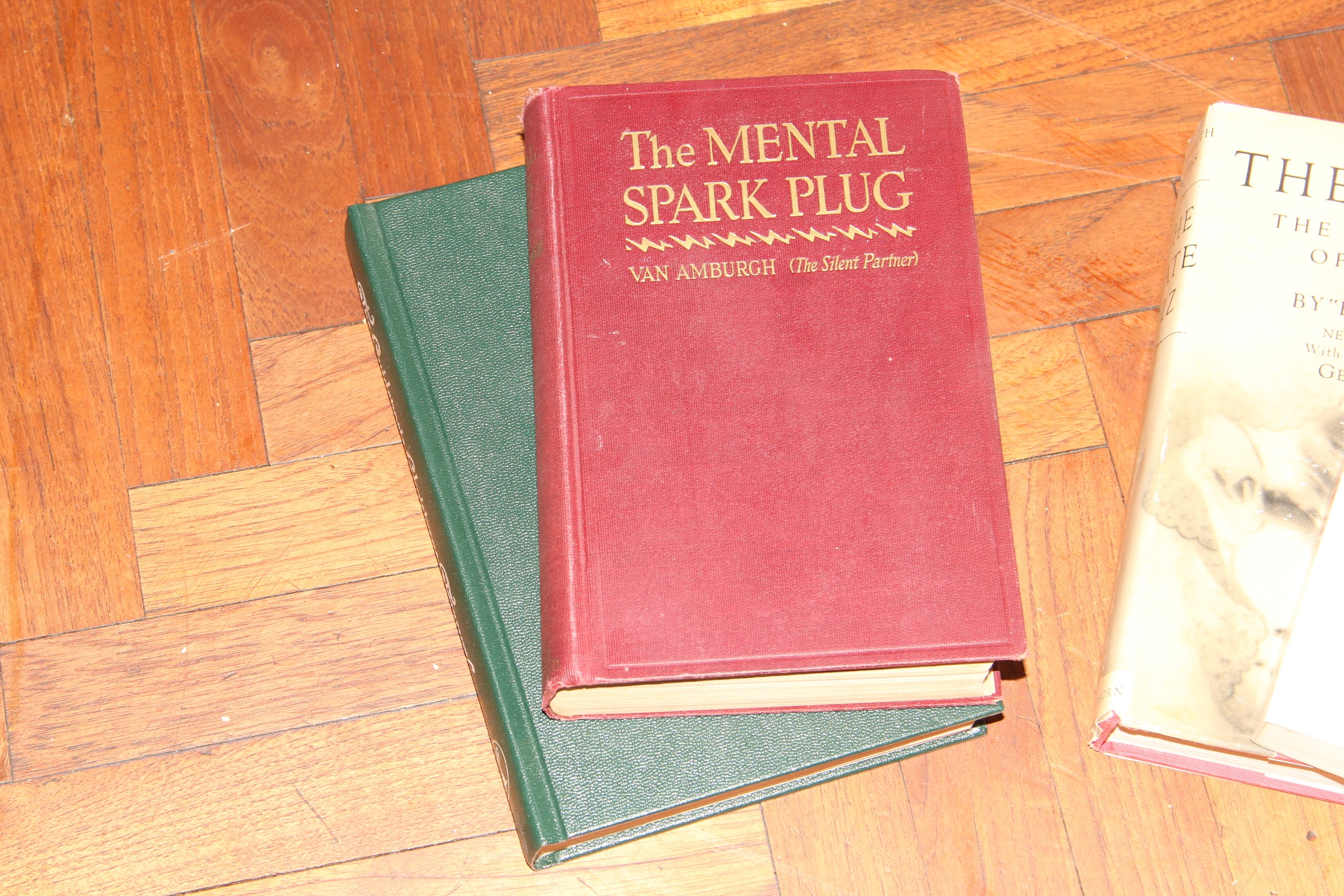 Collection of Paperback Novels