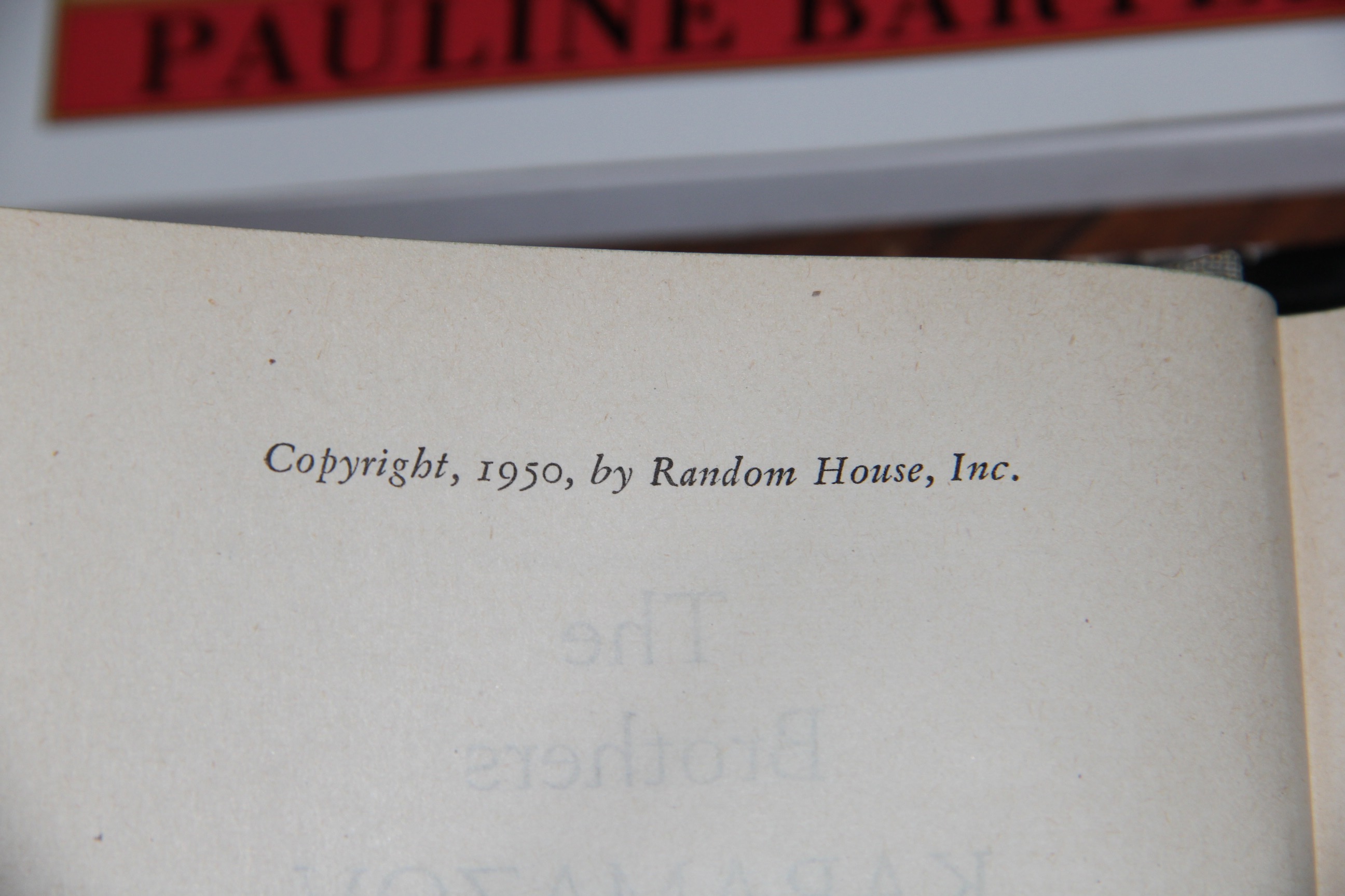 Collection of Paperback Novels