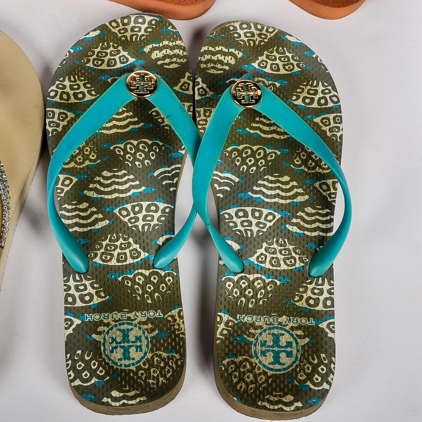 Collection of Women's Flipflops