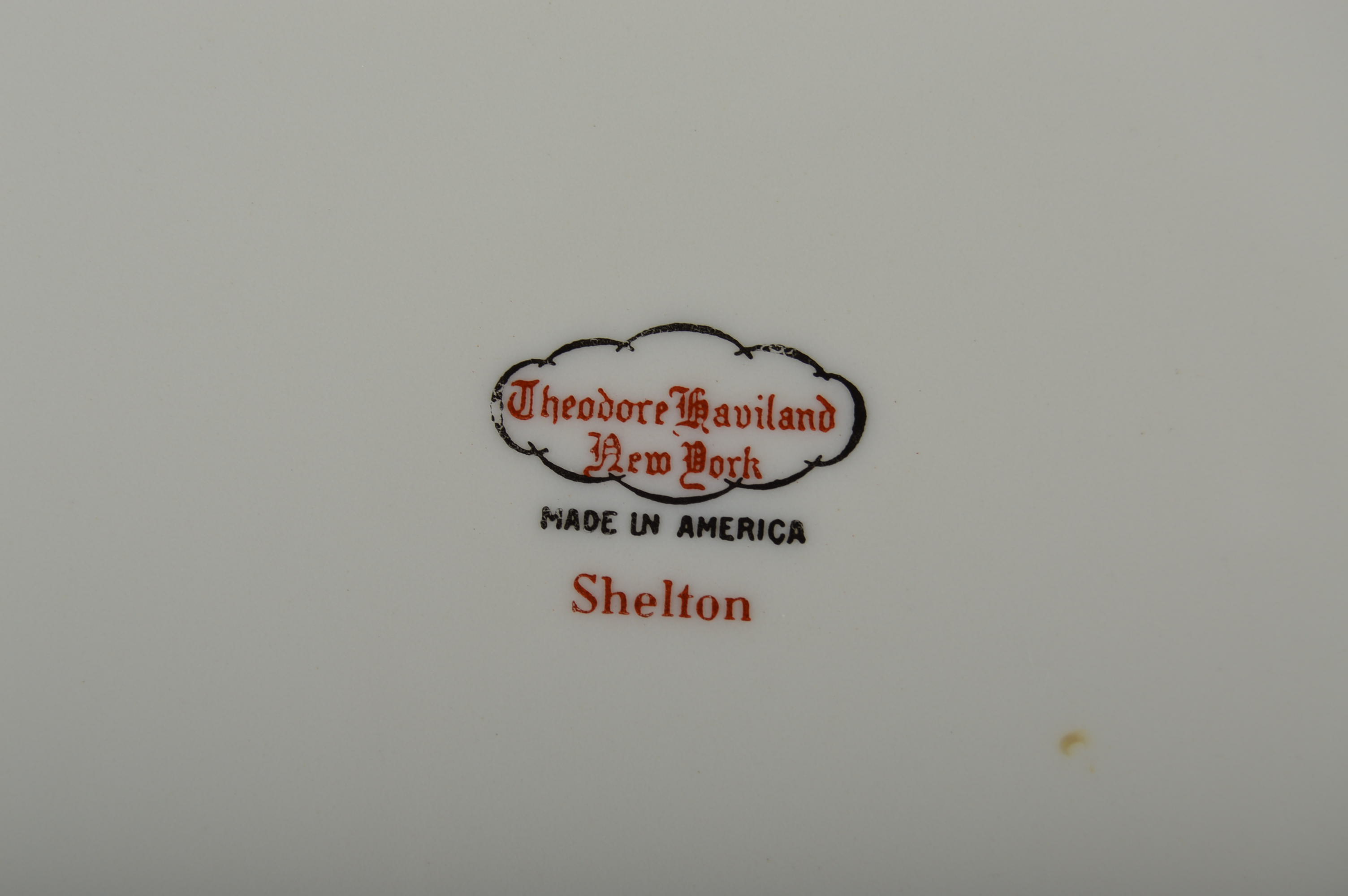 Theodore Haviland China Set in "Shelton" Pattern