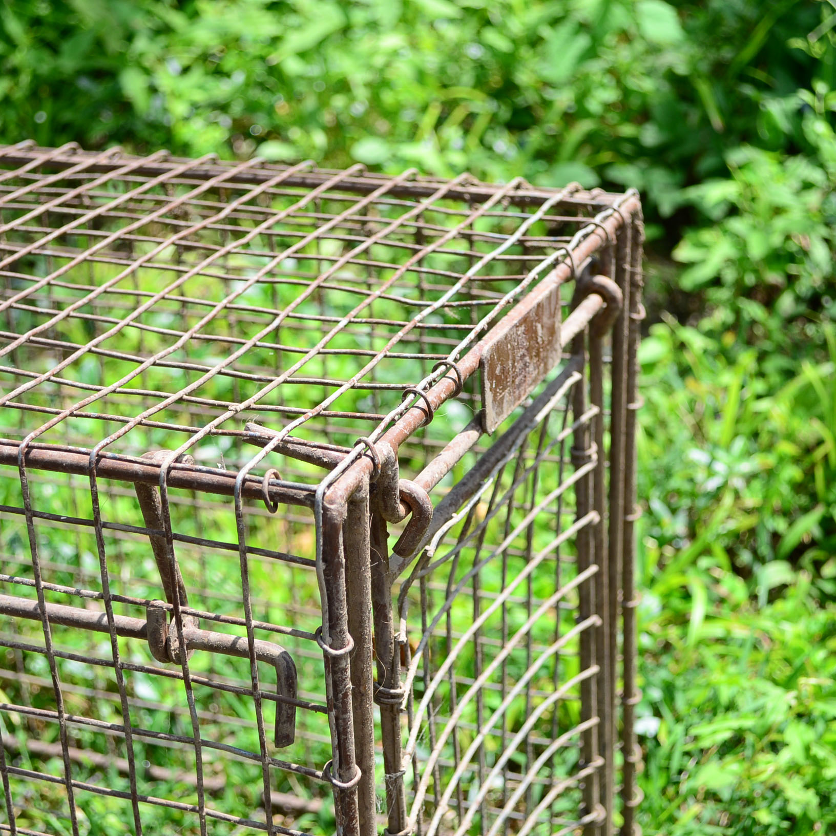Animal Cage & Traps
