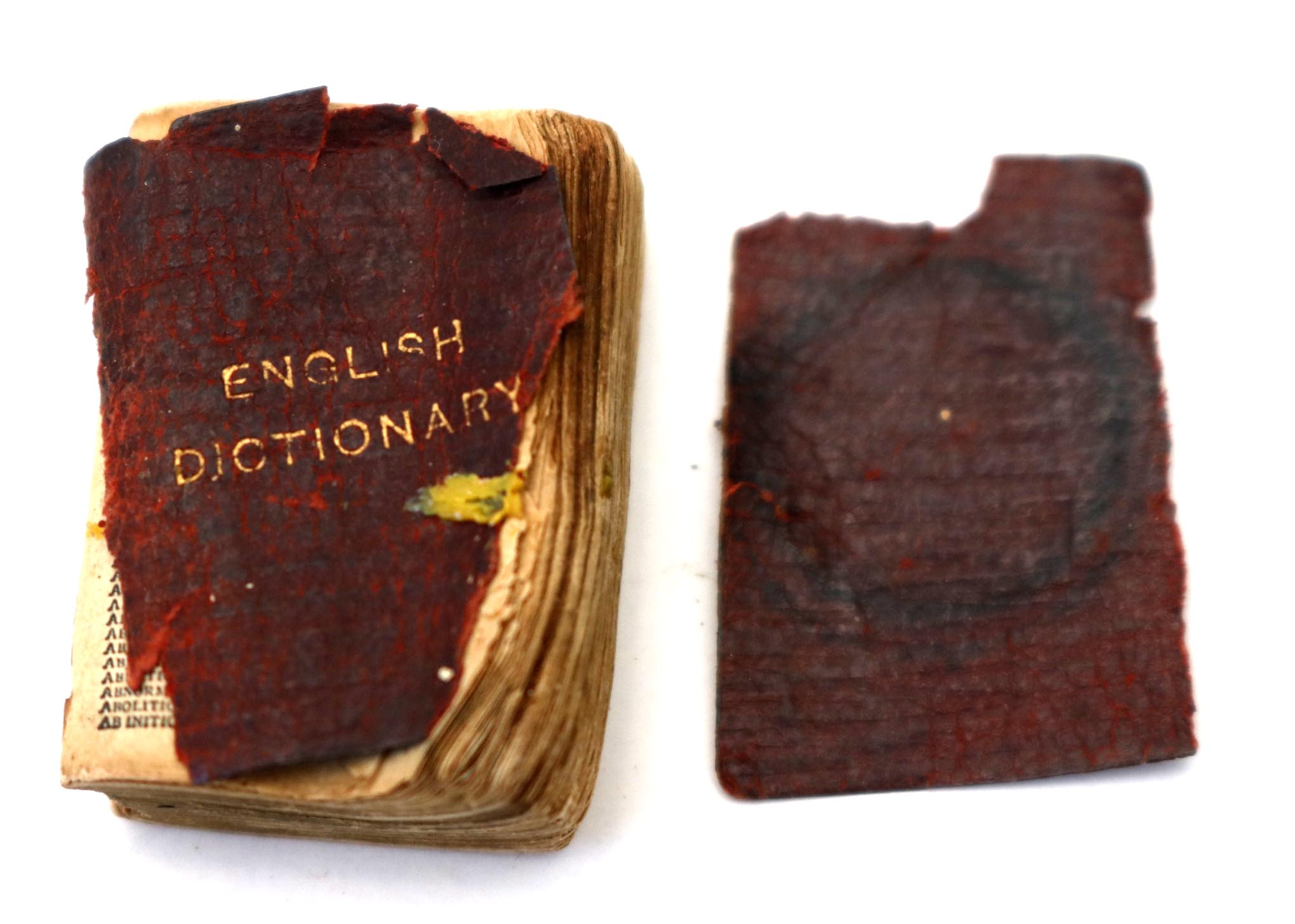 Miniature Book Cabinet with Collection of Publications