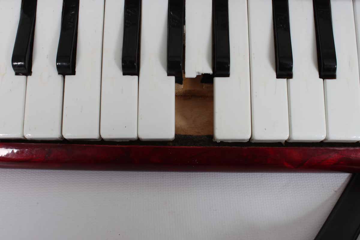 Vintage Primi Passi Child Size Accordion