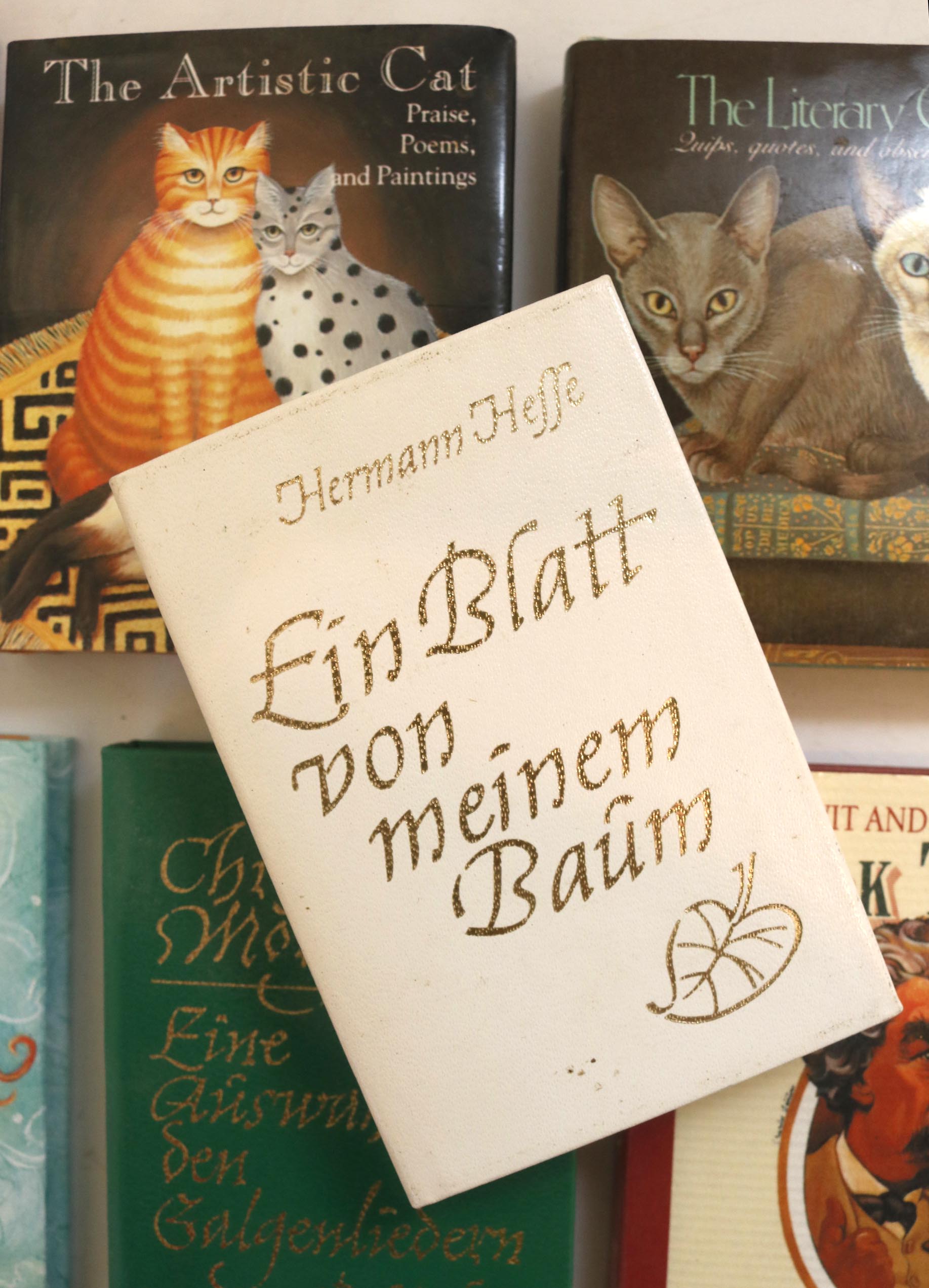 Collection of Miniature Books