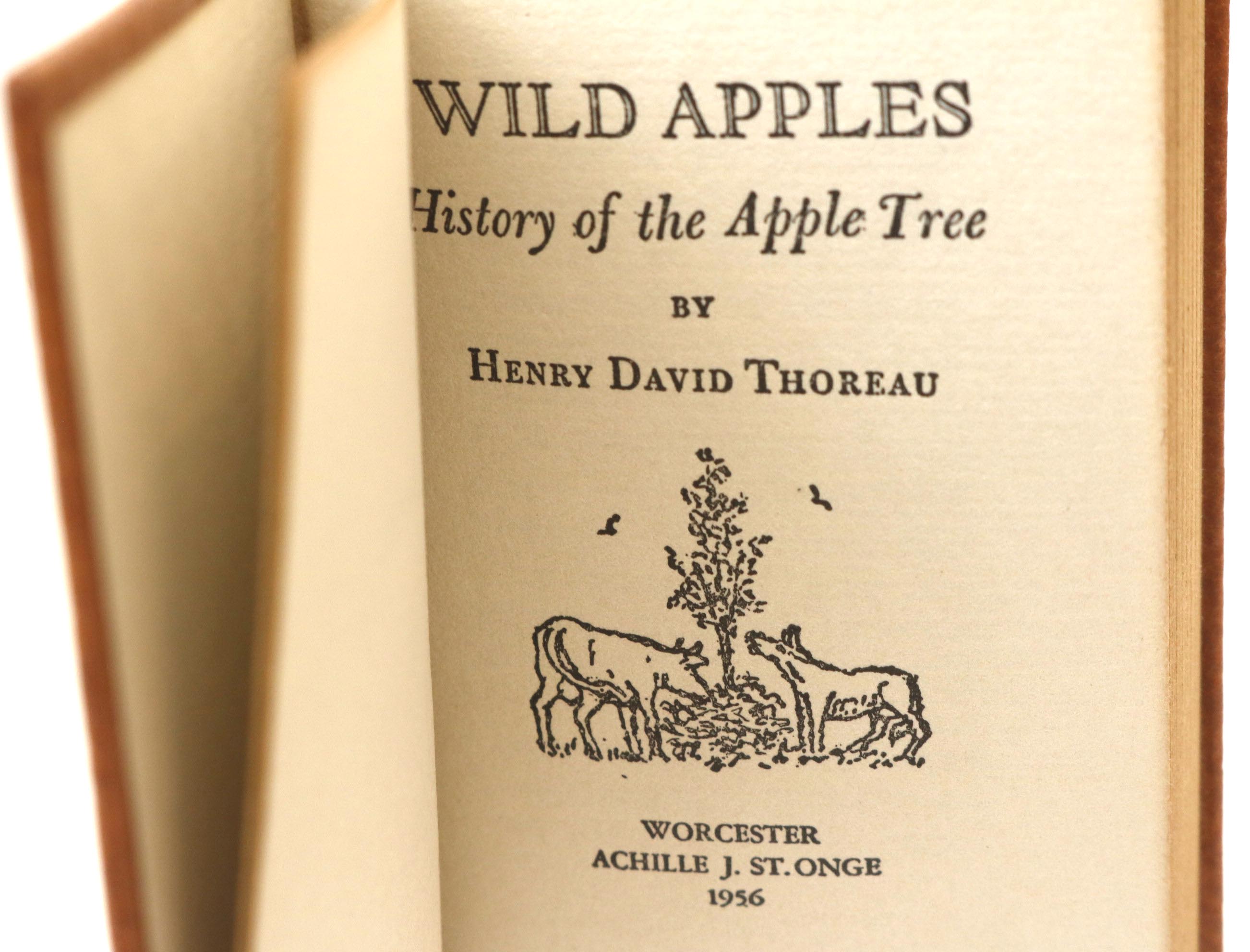 St. Onge "Wild Apples", "Thoreau's Turtle Nest" Miniature Books