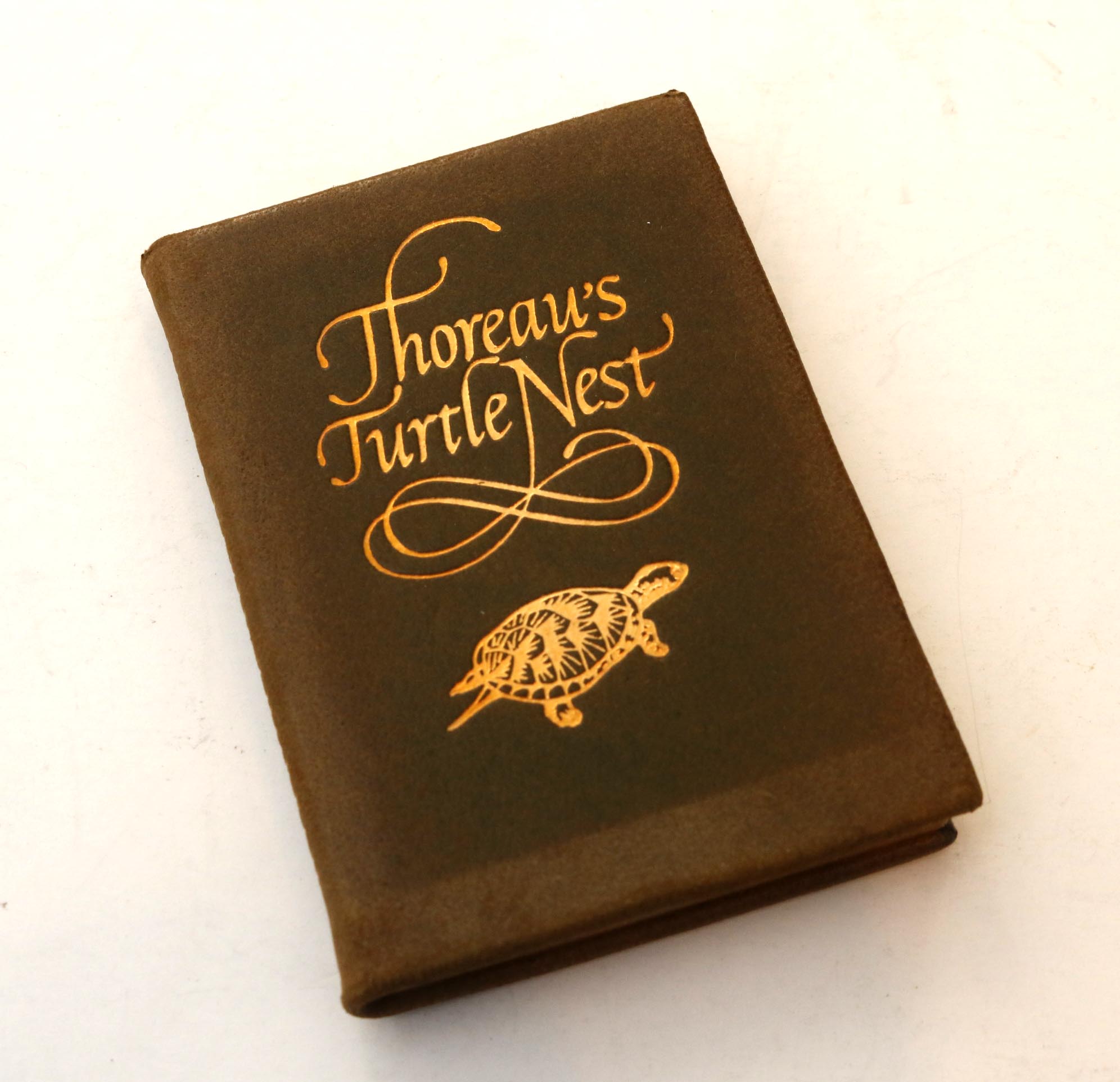 St. Onge "Wild Apples", "Thoreau's Turtle Nest" Miniature Books