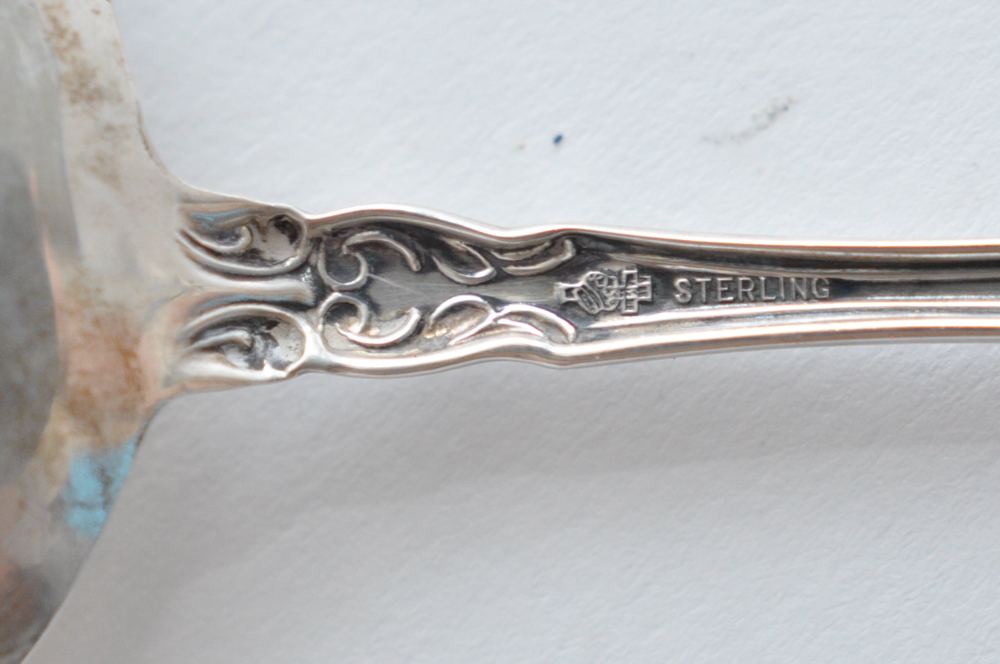 Manchester Silver Co. "Amaryllis" Sterling Silver Spoon