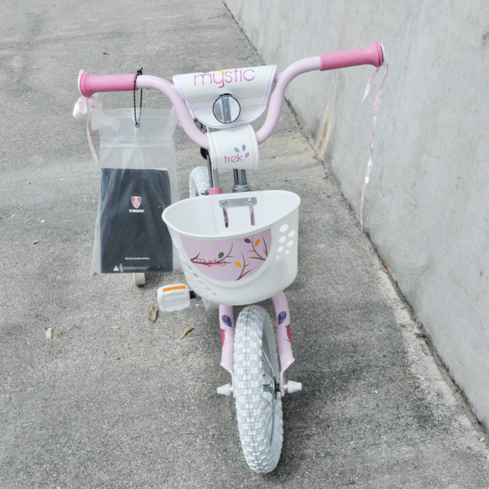 Trek "Mystic" Tricycle