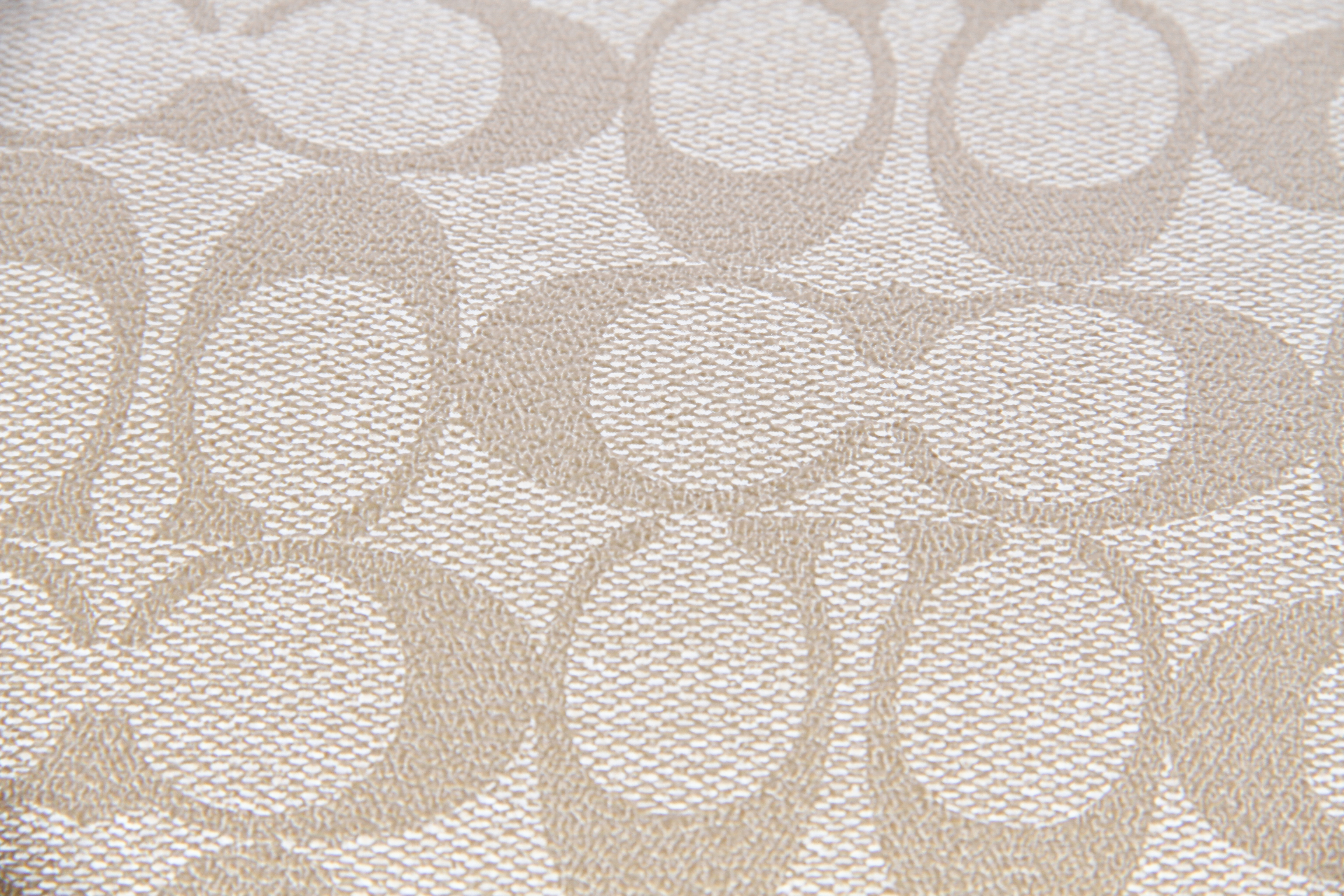 Coach Signature Heritage Peyton Tote in Khaki and Sky Blue