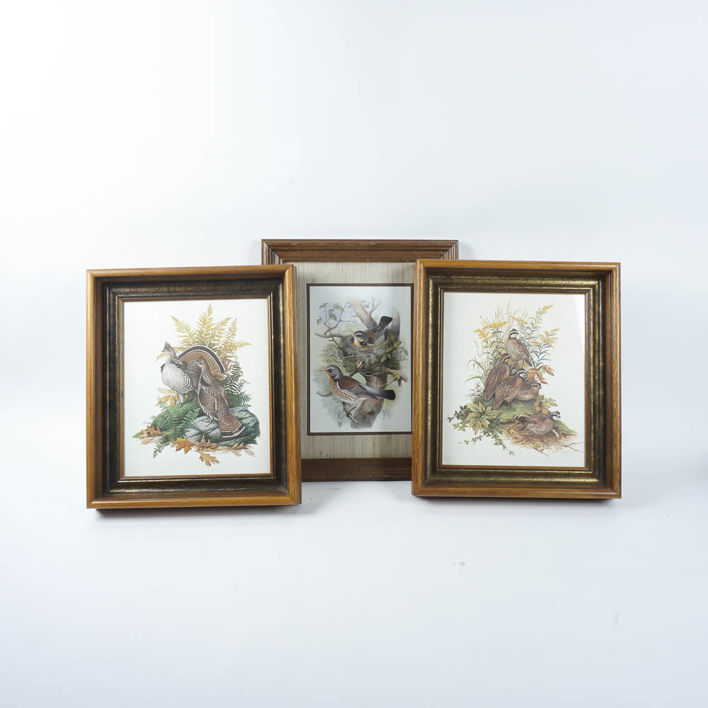 Bird Prints by Robert Tory Peterson