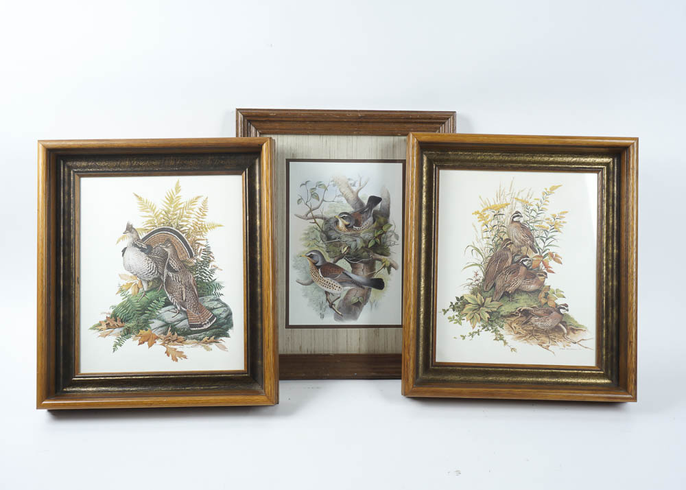 Bird Prints by Robert Tory Peterson