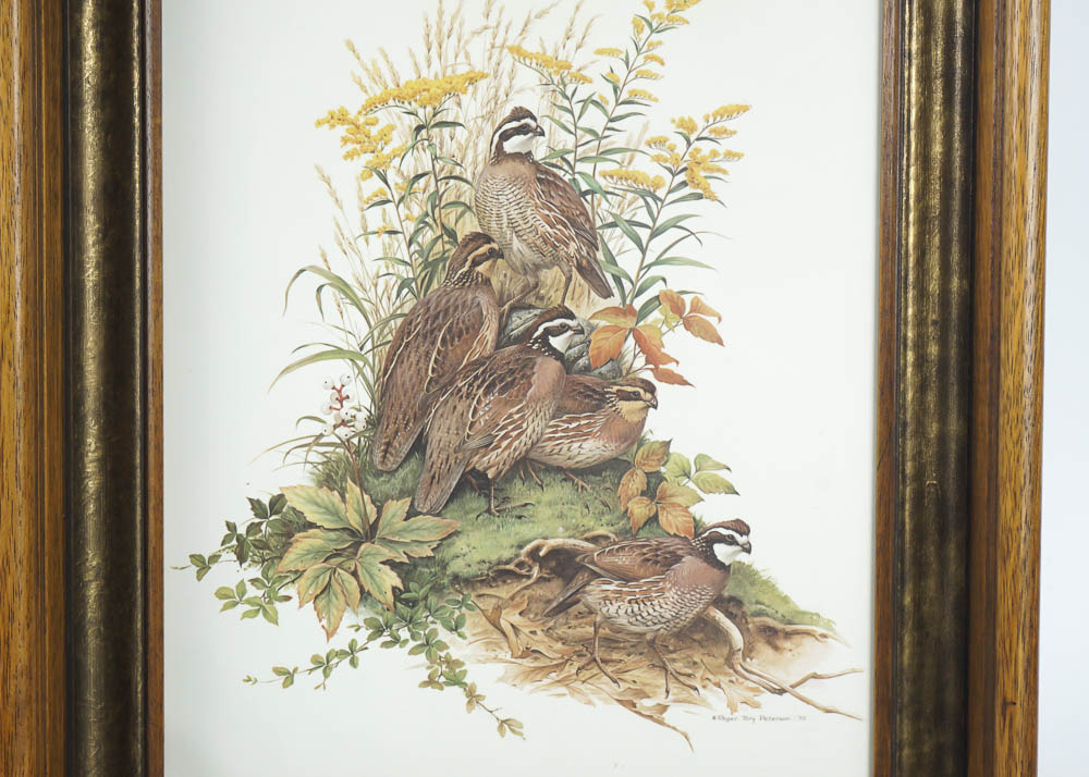 Bird Prints by Robert Tory Peterson