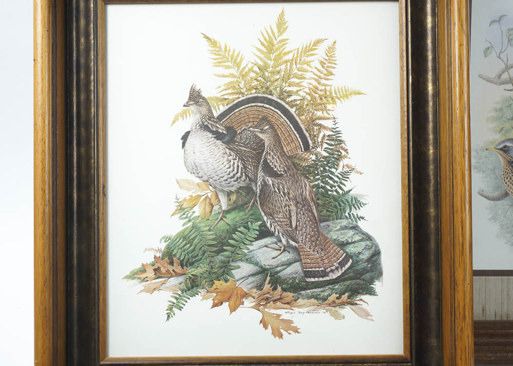 Bird Prints by Robert Tory Peterson